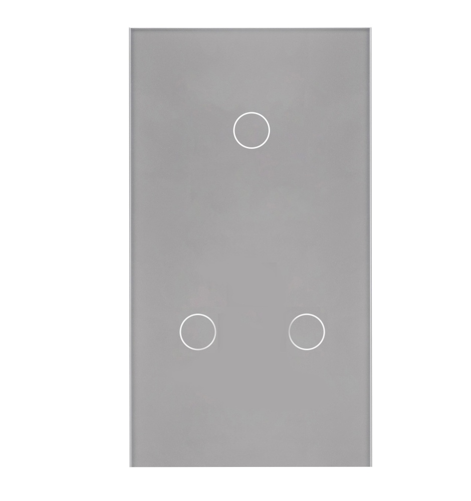 Купить Панель вертикальная 2 поста (1G+2G) 157*86мм, стекло (без выкл.) цвет серый в интернет-магазине Mvava.ru